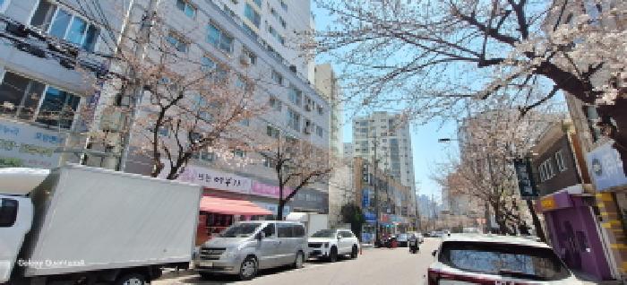 인천광역시 미추홀구 주안동 215-8 창우빌라트2 8층803호 아파트 경매 사진 8