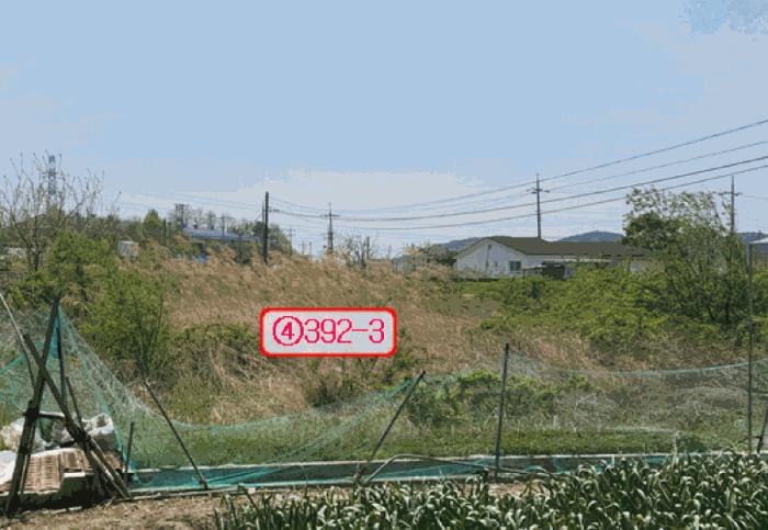 경상북도 영천시 임고면 평천리 137 답 경매 사진 3