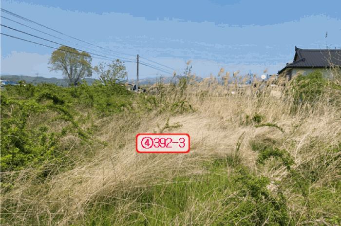경상북도 영천시 임고면 평천리 191 전 경매 사진 4