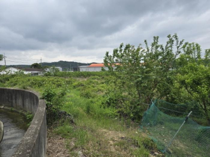 경상북도 영천시 임고면 평천리 392-3 답 경매 사진 10