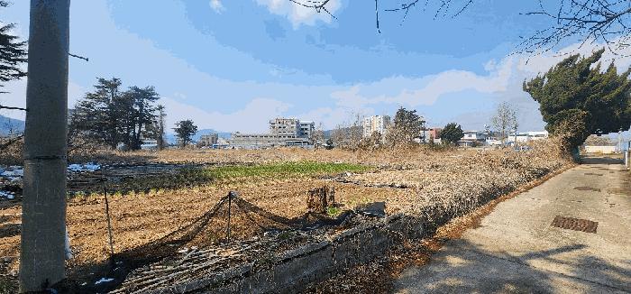 경상북도 울진군 근남면 노음리 322-110 대지 경매 사진 4