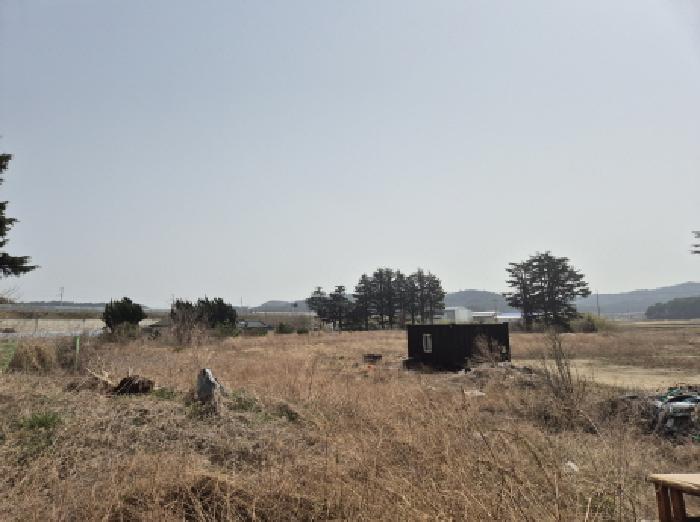 경상북도 울진군 근남면 노음리 322-110 대지 경매 사진 6