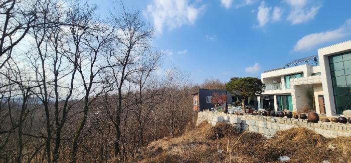 경상북도 영덕군 영덕읍 대부리 산52-3 임야 경매 사진 5