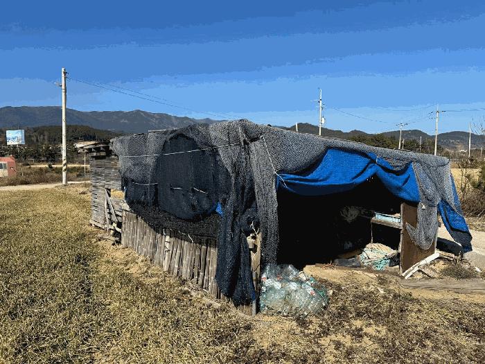 경상북도 영덕군 병곡면 병곡리 250-2 전 경매 사진 3