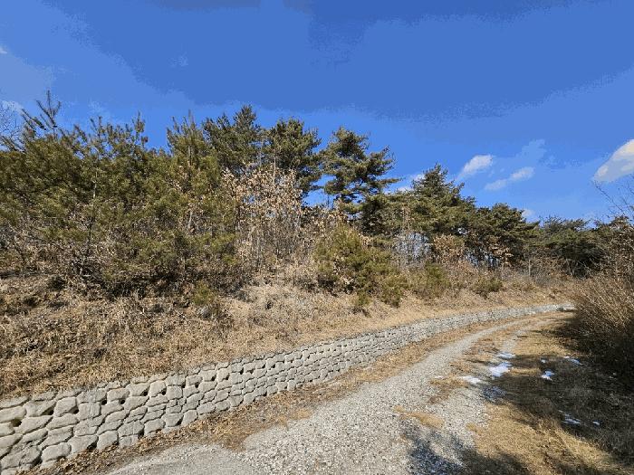 경상북도 영양군 입암면 대천리 산113 임야 경매 사진 1