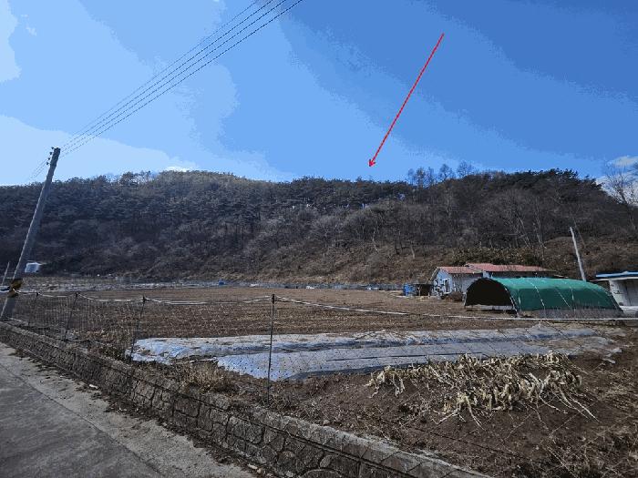 경상북도 영양군 입암면 대천리 산113 임야 경매 사진 2