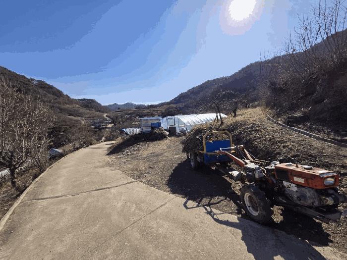 경상북도 영양군 청기면 토곡리 395 전 경매 사진 3