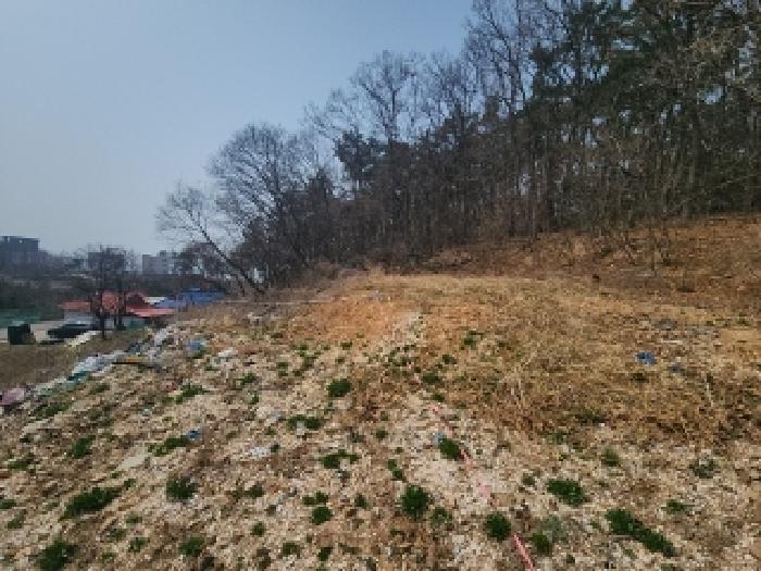 인천광역시 중구 덕교동 638 전 경매 사진 11