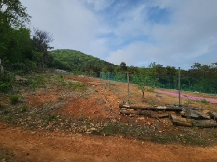 인천광역시 중구 운남동 1310-8 과수원 경매 사진 10