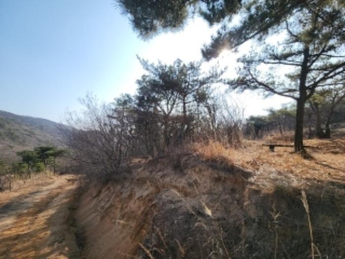인천광역시 중구 무의동 산267-2 임야 경매 사진 2