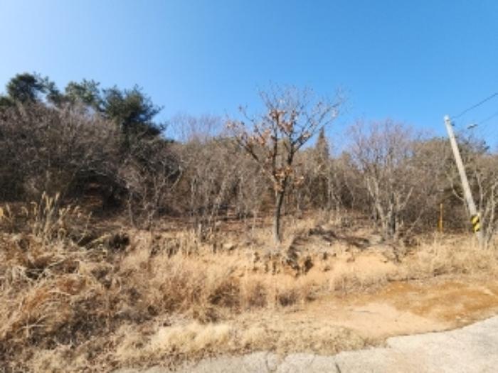 인천광역시 중구 무의동 산267-2 임야 경매 사진 4