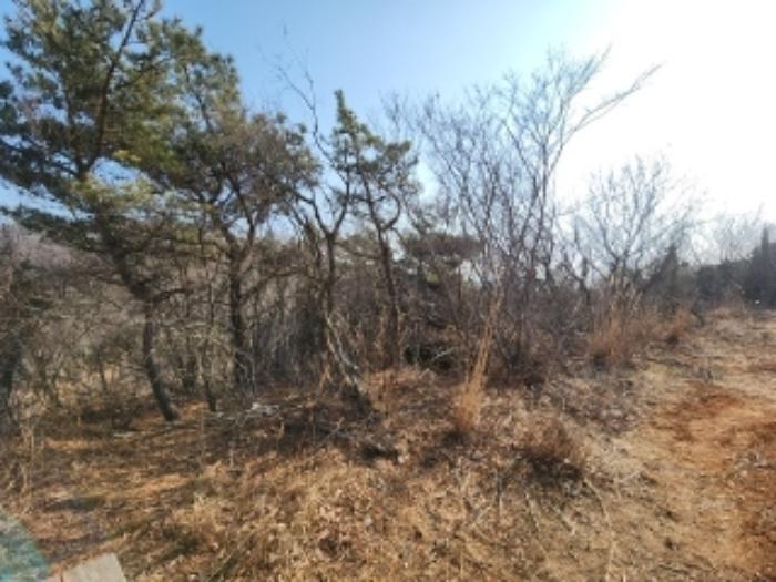 인천 중구 임야