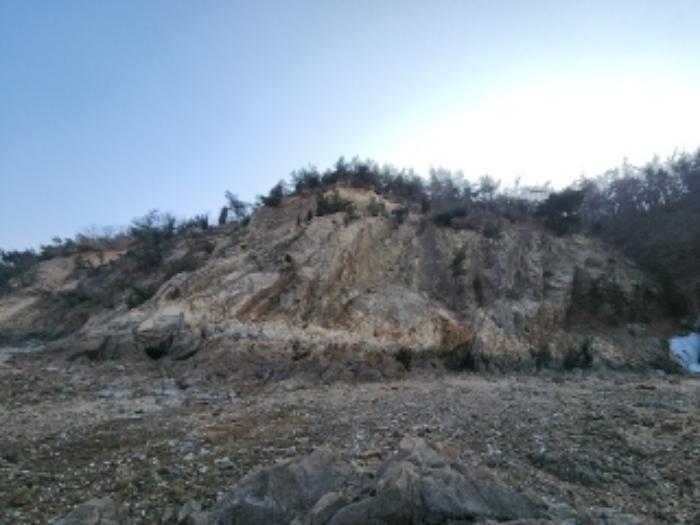 인천광역시 중구 무의동 산267-3 임야 경매 사진 10