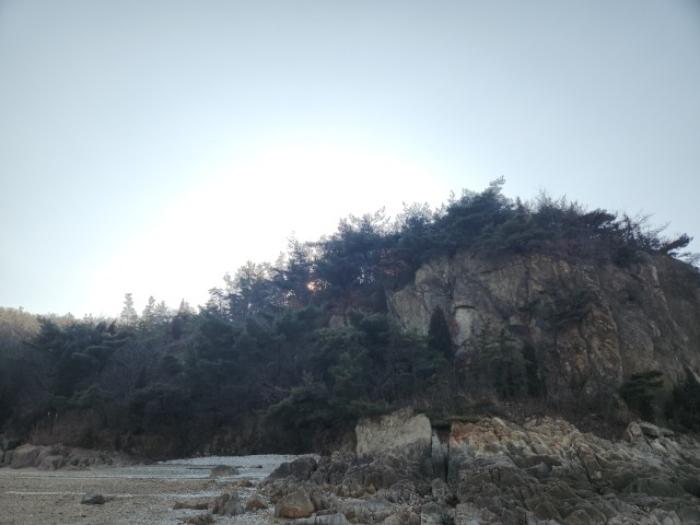 인천광역시 중구 무의동 산267-3 임야 경매 사진 11