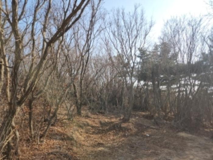 인천광역시 중구 무의동 산267-3 임야 경매 사진 6