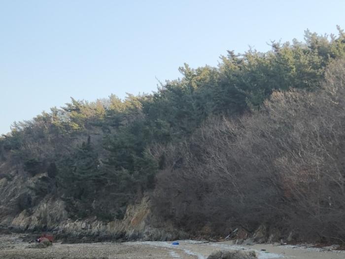 인천광역시 중구 무의동 산267-3 임야 경매 사진 9