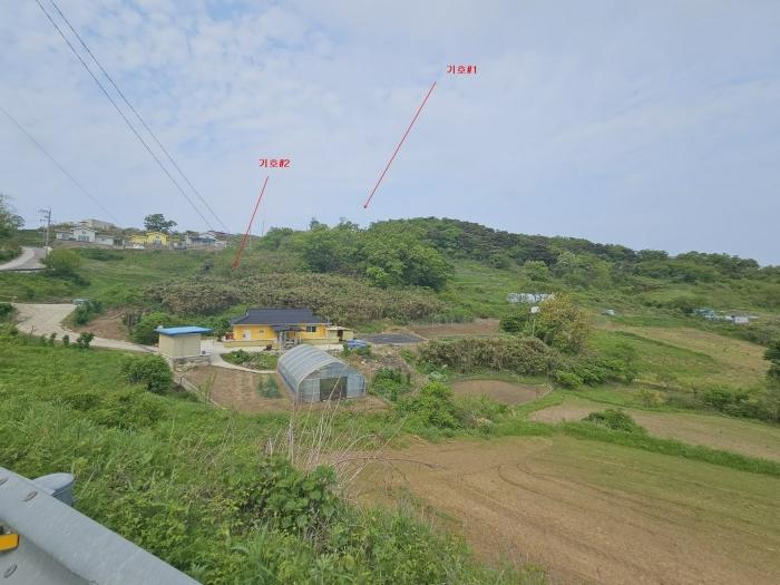 인천광역시 옹진군 자월면 자월리 산175-9 임야 경매 사진 1