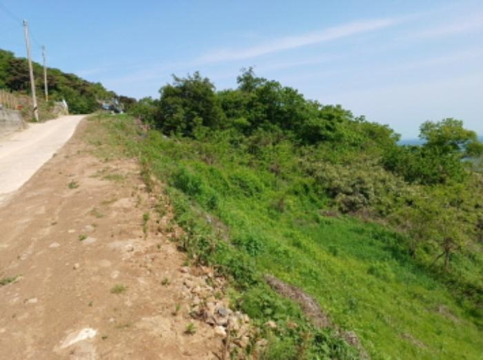 인천광역시 옹진군 자월면 자월리 산175-9 임야 경매 사진 11