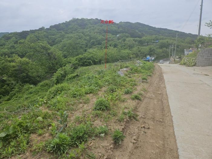인천광역시 옹진군 자월면 자월리 산175-9 임야 경매 사진 2