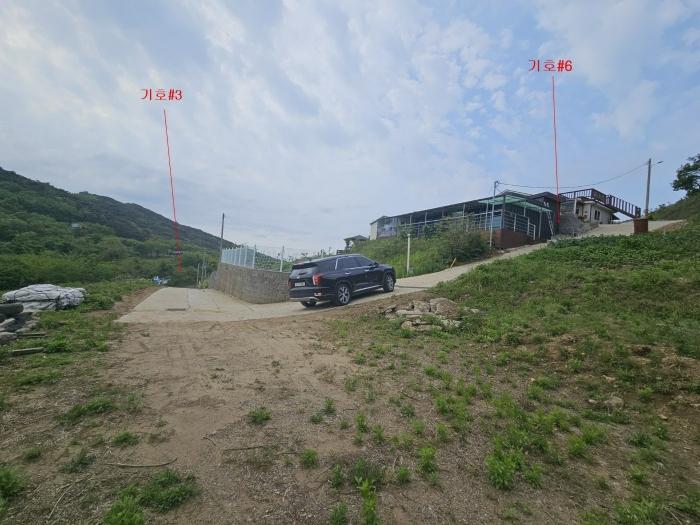 인천광역시 옹진군 자월면 자월리 산175-9 임야 경매 사진 3