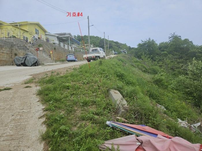 인천광역시 옹진군 자월면 자월리 산175-9 임야 경매 사진 5