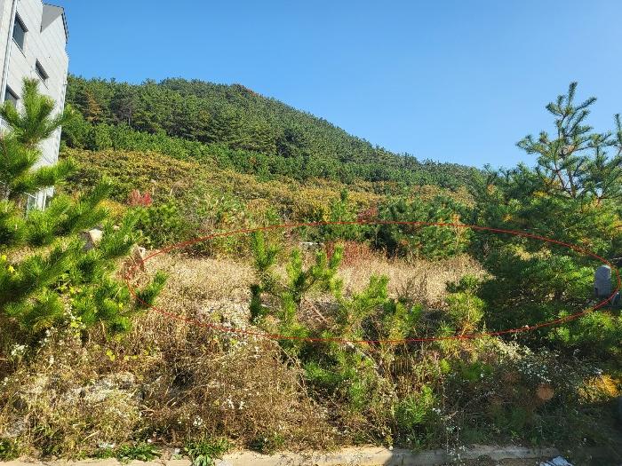 인천 중구 대지