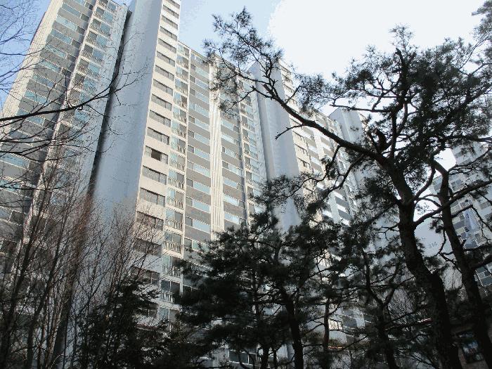 경기도 용인시 기흥구 상하동 621 수원동마을쌍용아파트 310동 3층303호 아파트 경매 사진 2