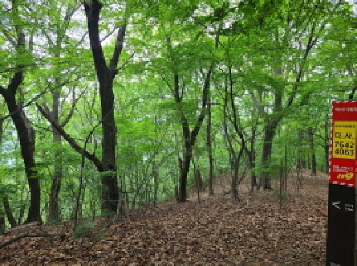 경기도 광주시 남한산성면 엄미리 산99-1 임야 경매 사진 12