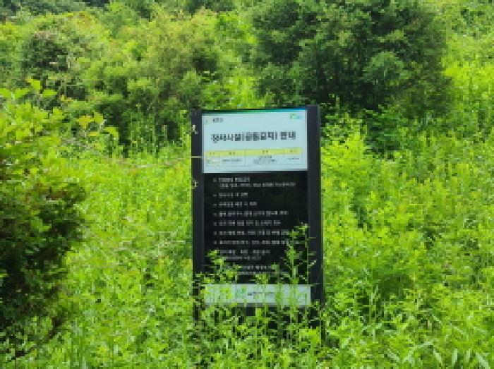 경기도 광주시 남한산성면 엄미리 산99-1 임야 경매 사진 15
