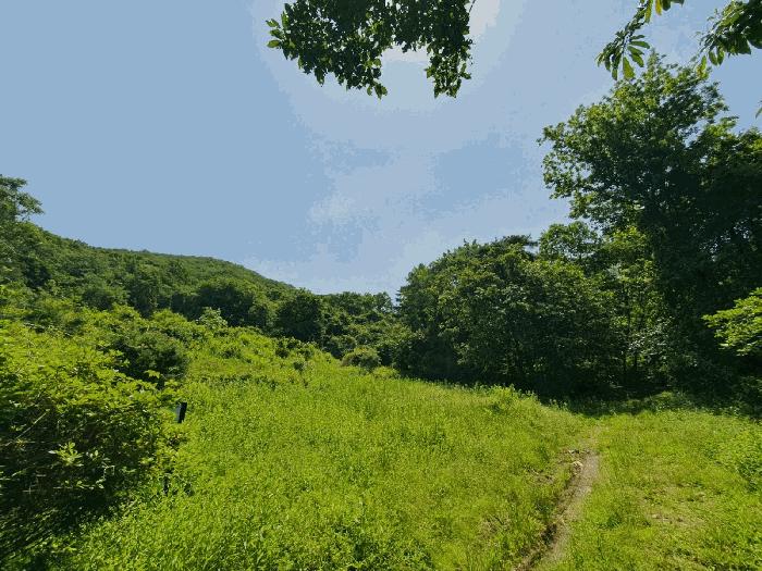 경기도 광주시 남한산성면 엄미리 산99-1 임야 경매 사진 2