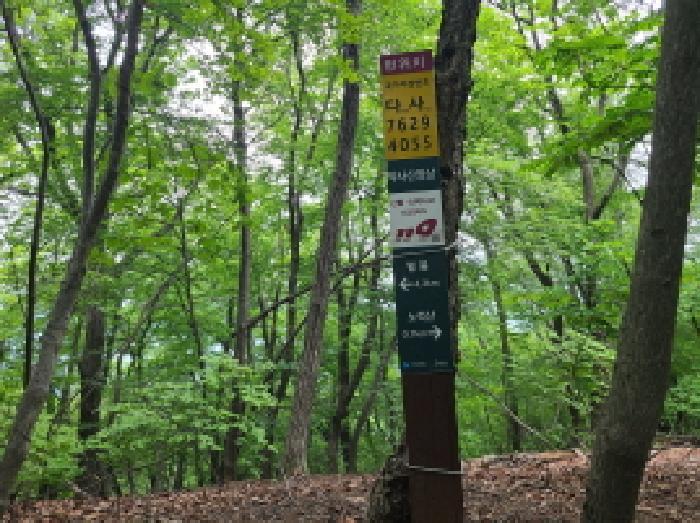 경기도 광주시 남한산성면 엄미리 산99-1 임야 경매 사진 9