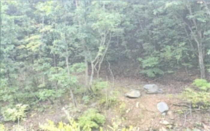 강원특별자치도 강릉시 강동면 정동진리 산40 임야 경매 사진 11