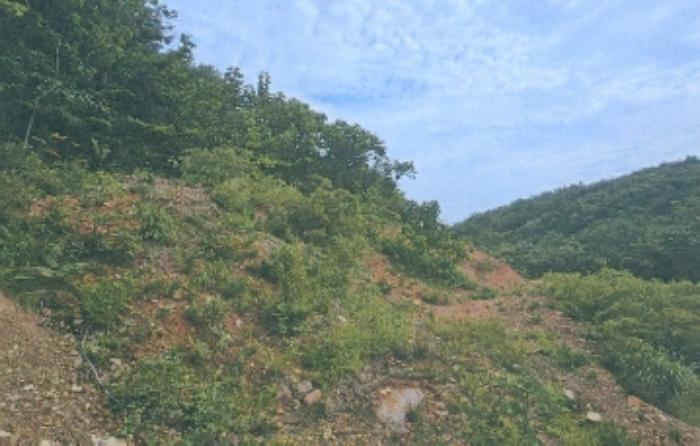 강원특별자치도 강릉시 강동면 정동진리 산40 임야 경매 사진 12