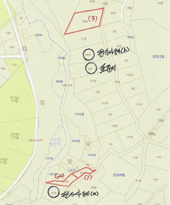 강원특별자치도 강릉시 구정면 어단리 944-44 임야 경매 사진 12