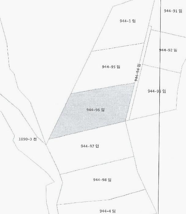 강원특별자치도 강릉시 구정면 어단리 944-44 임야 경매 사진 15