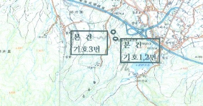 강원특별자치도 강릉시 구정면 어단리 944-44 임야 경매 사진 16