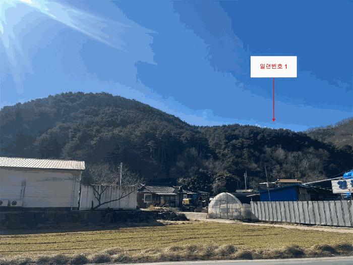 강원특별자치도 삼척시 적노동 산26 임야 경매 사진 2
