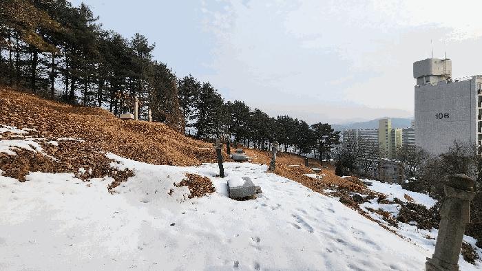 강원특별자치도 원주시 문막읍 동화리 산167 임야 경매 사진 5