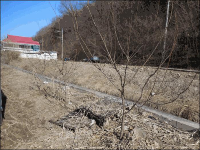 강원특별자치도 원주시 문막읍 포진리 950 답 경매 사진 6