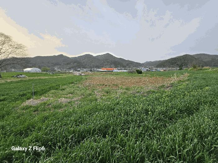 충청남도 논산시 양촌면 반암리 산61 임야 경매 사진 4