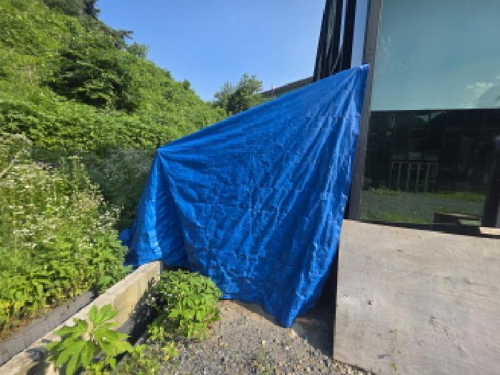 충청북도 제천시 송학면 시곡리 185 교육시설 경매 사진 19
