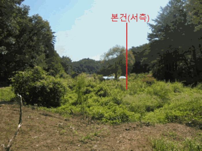 충청북도 제천시 봉양읍 장평리 304 답 경매 사진 10