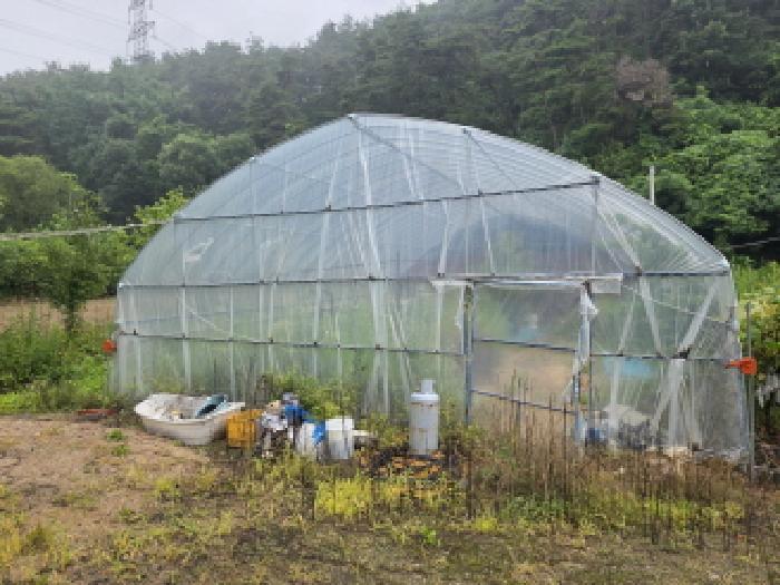 충청북도 제천시 봉양읍 장평리 304 답 경매 사진 14