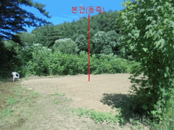 충청북도 제천시 봉양읍 장평리 304 답 경매 사진 2