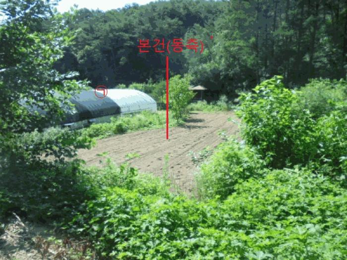 충청북도 제천시 봉양읍 장평리 304 답 경매 사진 3