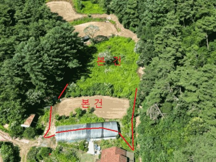 충청북도 제천시 봉양읍 장평리 304 답 경매 사진 5