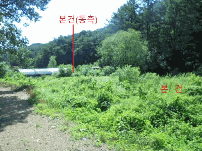 충청북도 제천시 봉양읍 장평리 304 답 경매 사진 6