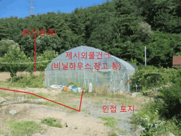 충청북도 제천시 봉양읍 장평리 304 답 경매 사진 8