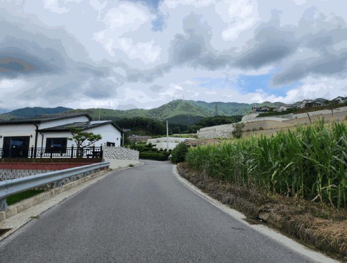 충청북도 제천시 송학면 도화리 산20-2 임야 경매 사진 3