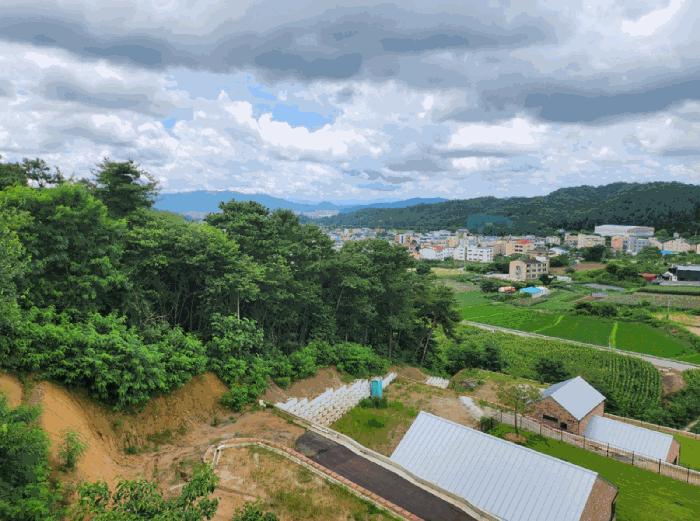 충청북도 제천시 송학면 도화리 산20-2 임야 경매 사진 4